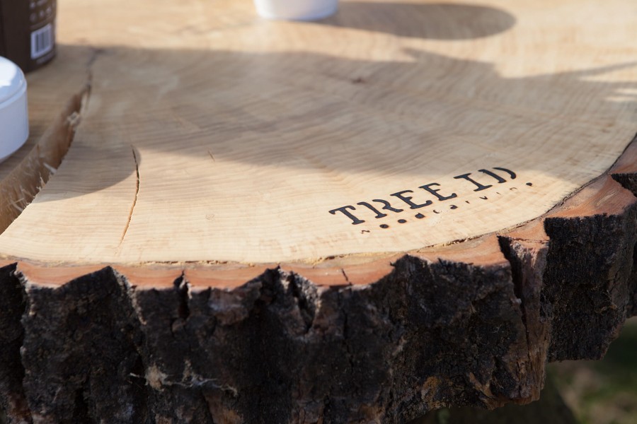 Privacyverklaring Tree ID