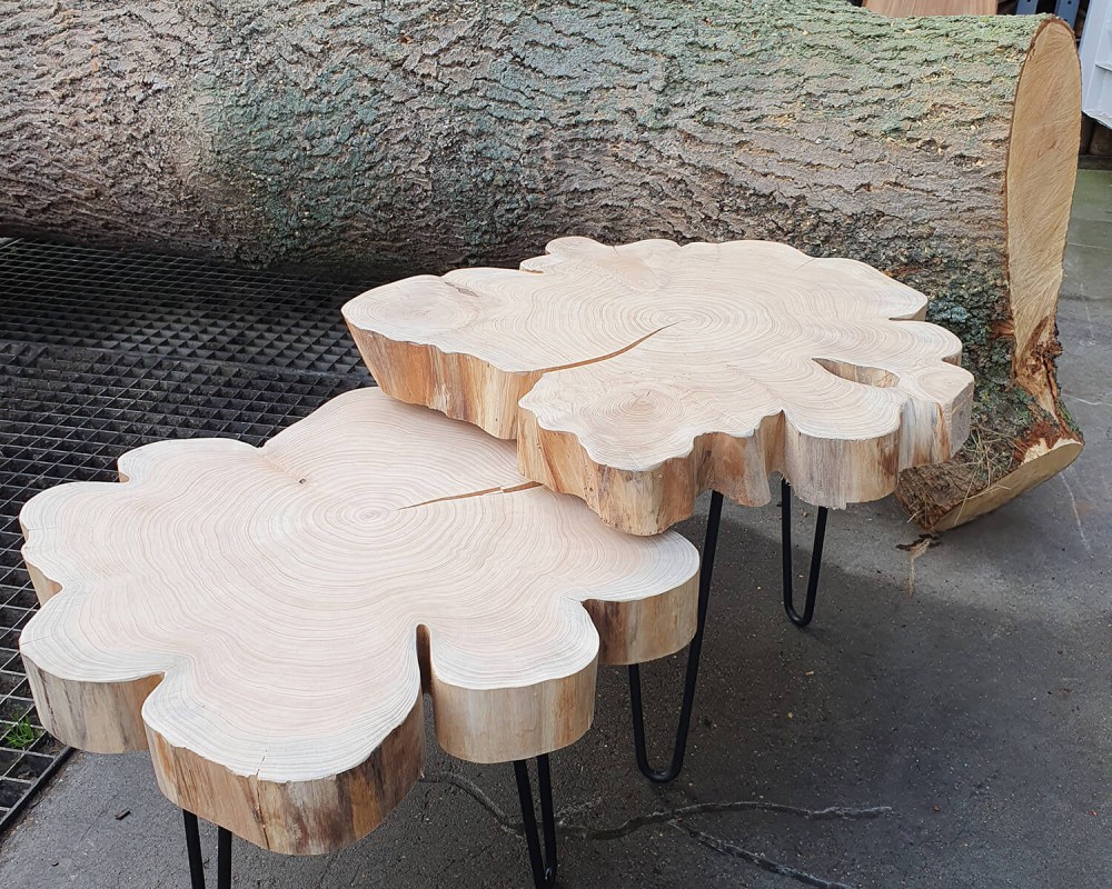 Boomschijven en sokkels