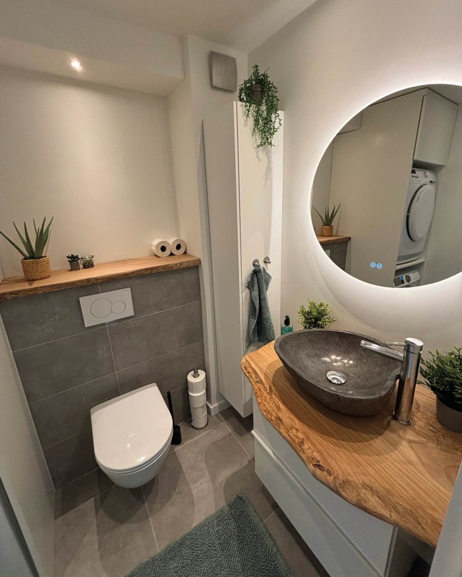 Toilet planchets
