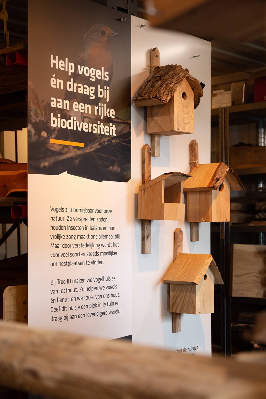 Processierupsen natuurlijk beheersen met mezen en biodiversiteit