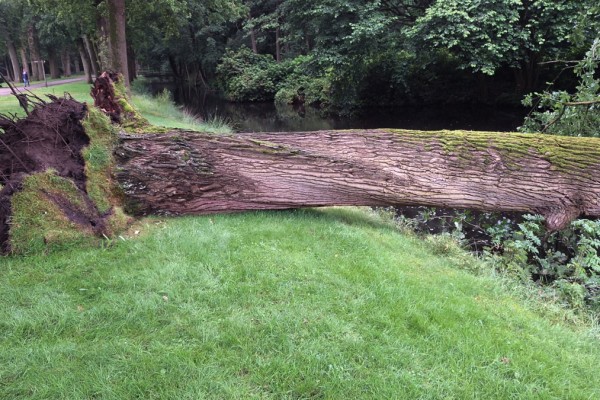 Van statige eik naar natuurlijke werktafel voor Kinderopvang ZON!